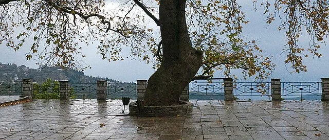 Πήλιο: το βουνό των Κενταύρων όπου το δάσος συναντά τη θάλασσα